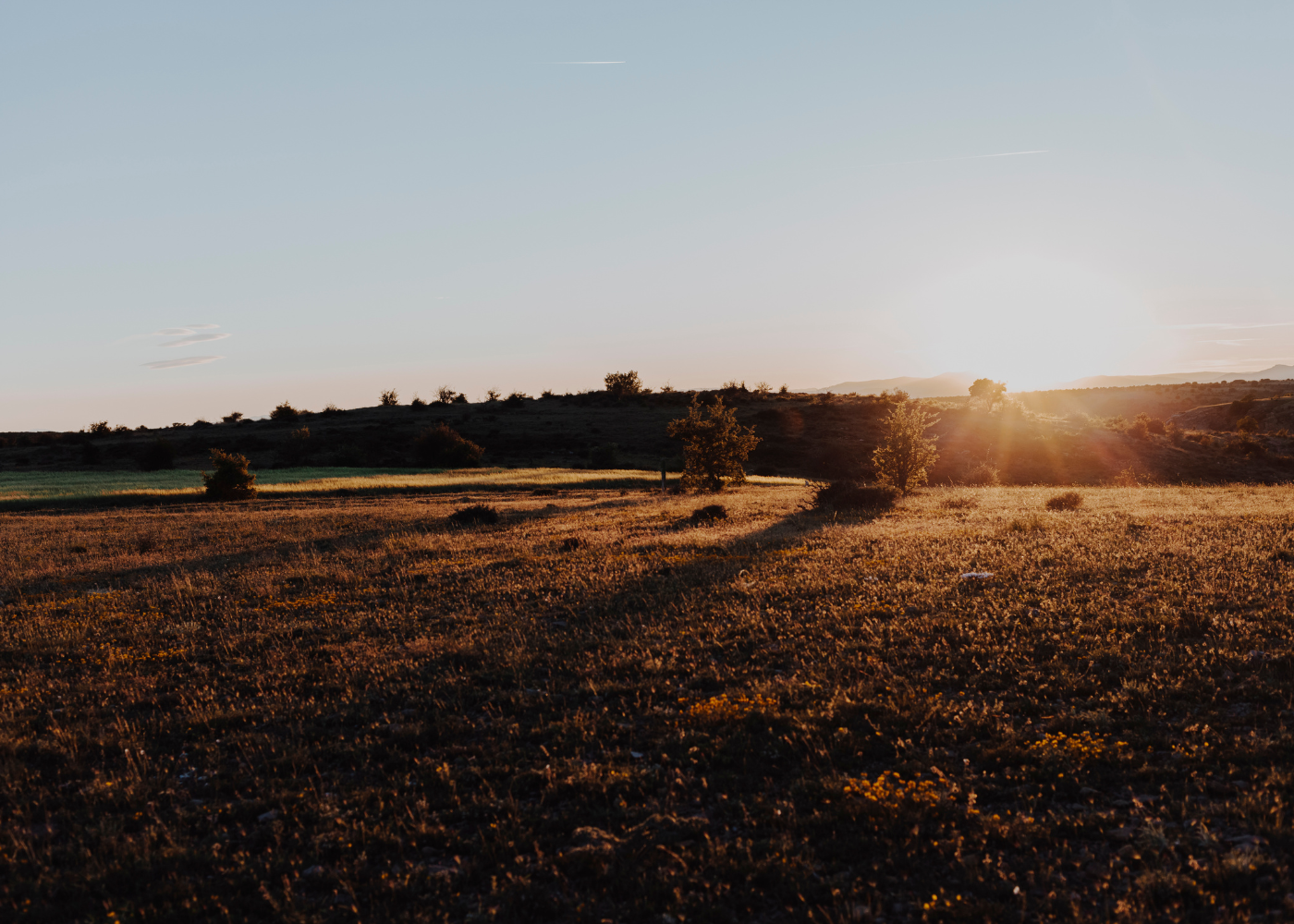 Aara Farms 